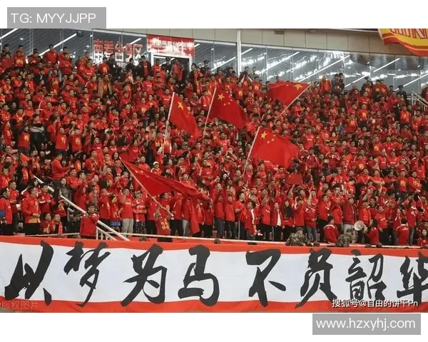 球迷文化的崛起与变革：从观赛到参与，体育娱乐新生态的形成